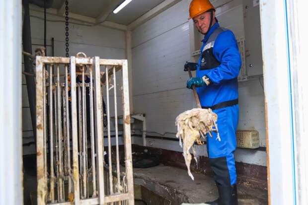 О правилах пользования канализацией проинформировали тюменцев