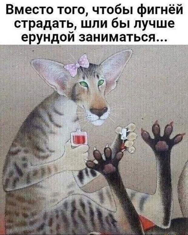 Свежие мемы сегодняшнего дня (вторник)