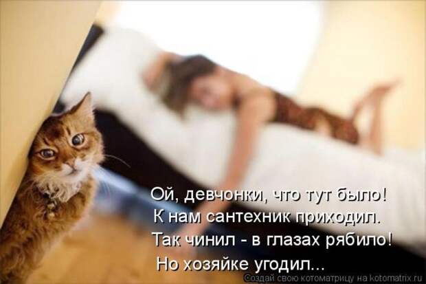 Лучшие котоматрицы недели (50 фото) Лучшие котоматрицы недели (50 фото)
