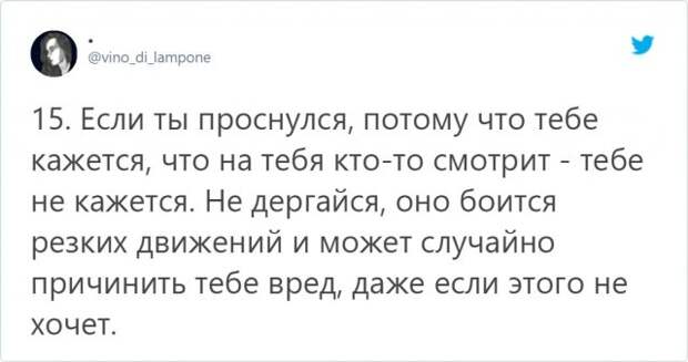 www.vsyako.net