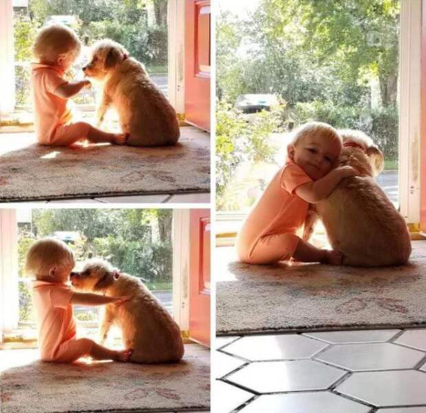 L20 фотографий вызывающих какието особенные теплые чувcтва
