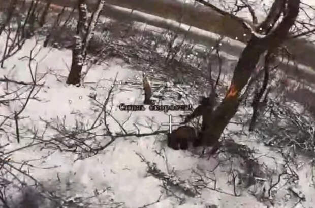 Подразделение ФСБ уничтожило диверсантов ВСУ на окраине Димитрова в ДНР