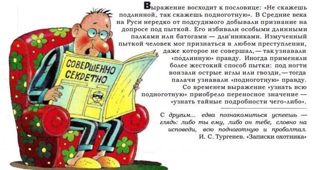 Знать всю подноготную... история, крылатые фразы, обозначение, познавательно., происхождение, язык
