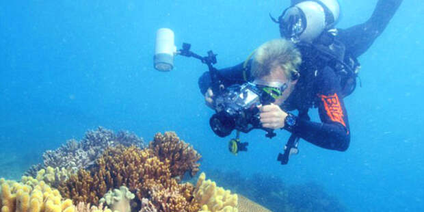 Пять советов, как снимать на action-камеру под водой