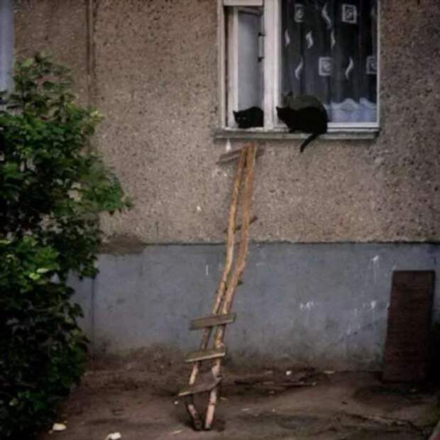 Строительные приколы ошибки и маразмы. Подборка chert-poberi-build-chert-poberi-build-14120427112020-14 картинка chert-poberi-build-14120427112020-14