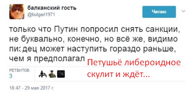 db6d95982cf4.png