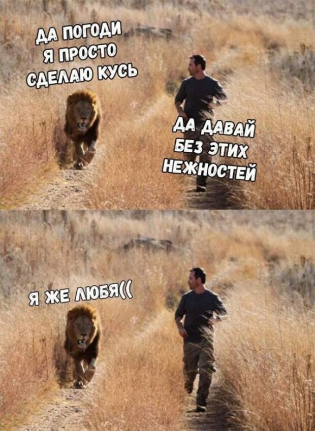Шутки и и забавные картинки из социальных сетей (33 фото)