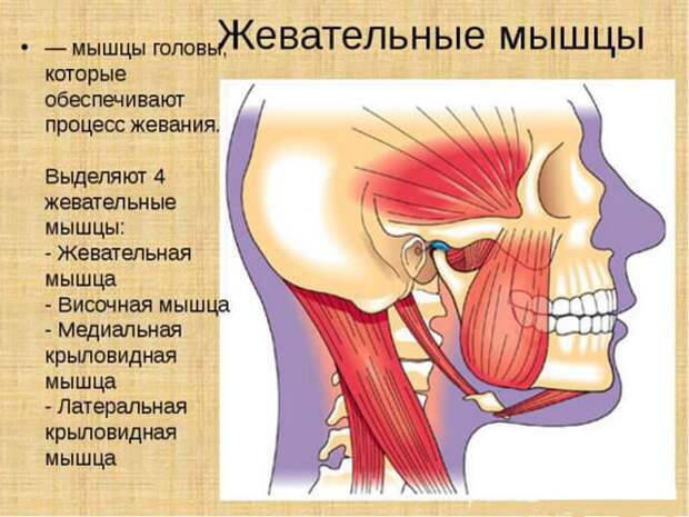 Как сохранить молодость лица