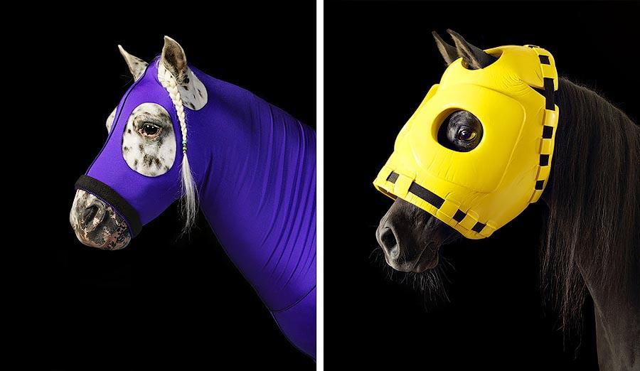 Грация прекрасных лошадей в фотопроекте Equus
