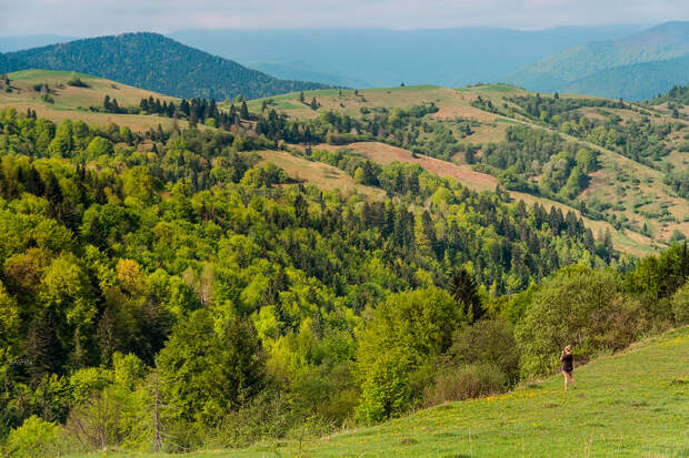 Весна в Карпатах