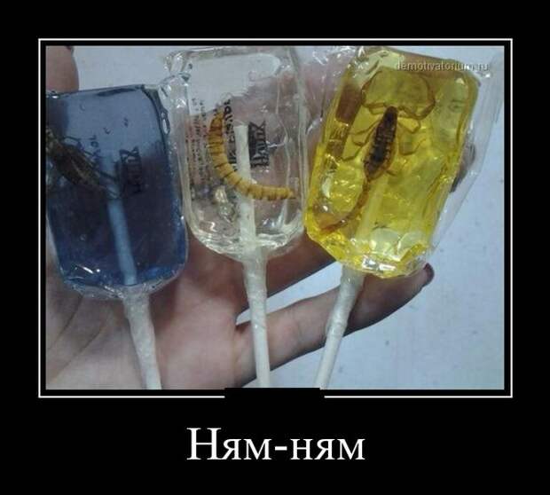 Демотиваторы (30 фото)