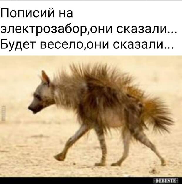 Открыт новый элемент таблицы Менделеева Открыт новый элемент таблицы Менделеева