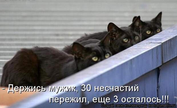Котоматрица - - Держись мужик, 30 несчастий пережил, еще 3 осталось!!!