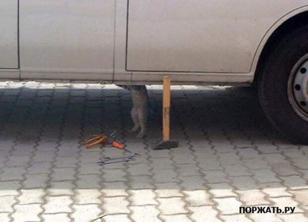 НАША РАША, фотоприколы :) (18 фоток)