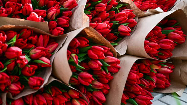 Стало известно, сколько стоит средний букет тюльпанов к 8 Марта