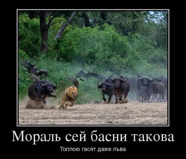 Классный сборник позитивных демотиваторов  (2014)