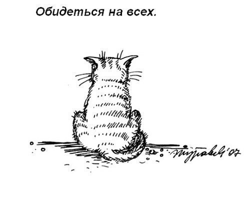Кошачий пост жизнь кота, кот