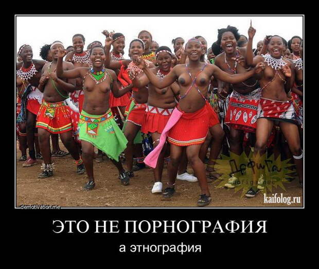 Демотиваторы - 167 (50 фото)