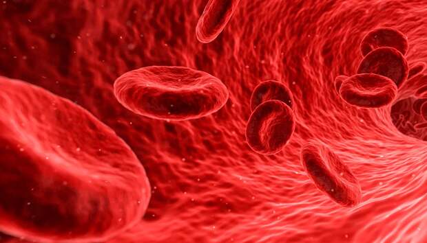 Датские медики рассказали, как любую группу крови превратить в первую универсальную