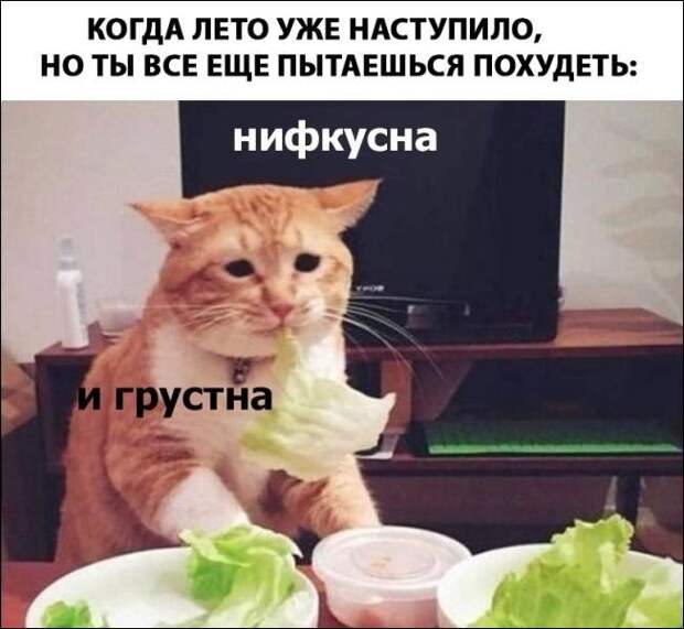 Фотоподборка