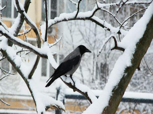 К чему готовиться жителям Тюмени?
