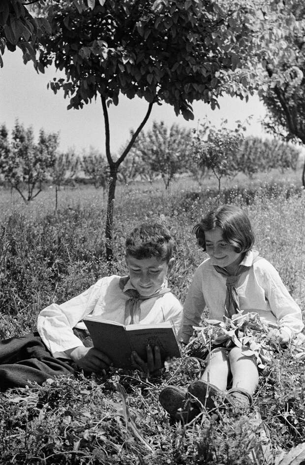 Армения. Школьники в саду