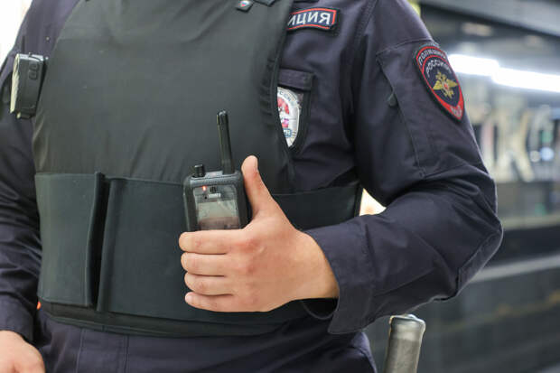 Мужчину наказали за опасный трюк в московском метро