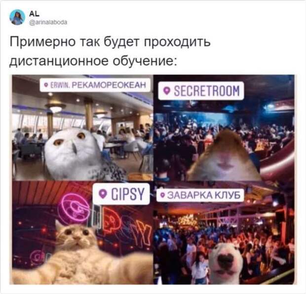 Смешные комментарии. Подборка chert-poberi-kom-chert-poberi-kom-59040703092020-1 картинка chert-poberi-kom-59040703092020-1