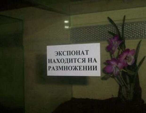 Прикольные объявления, открытки и высказывания в соцсетях (40 фото)