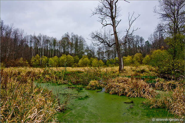 Карпова поляна село Сушки