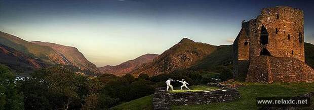 Craig_Easton_019