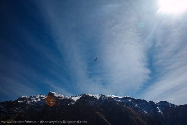 colca10 Спускаемся в глубочайший каньон на Земле