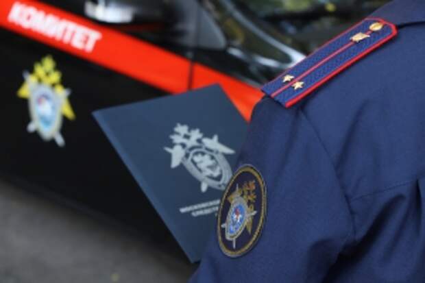 Главе ведомства будет представлен доклад о ходе расследования уголовного дела  о нарушении жилищных прав граждан в Московской области