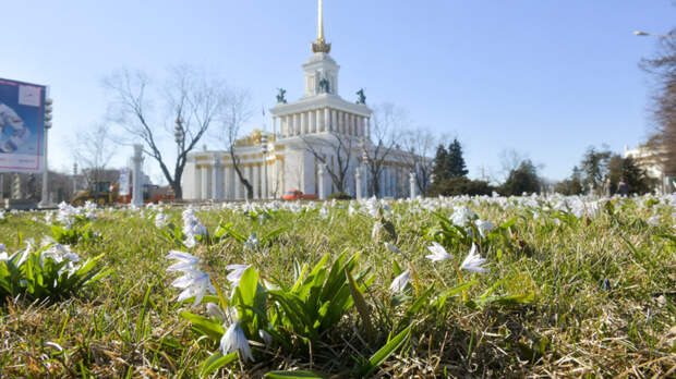 Весна 2025 года вошла в тройку самых теплых в истории Москвы