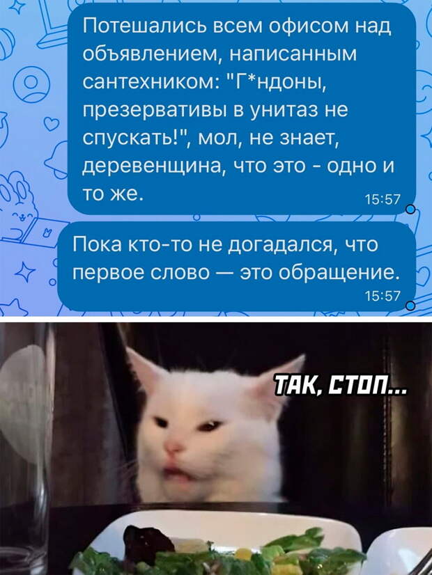 Самые смешные картинки с надписями