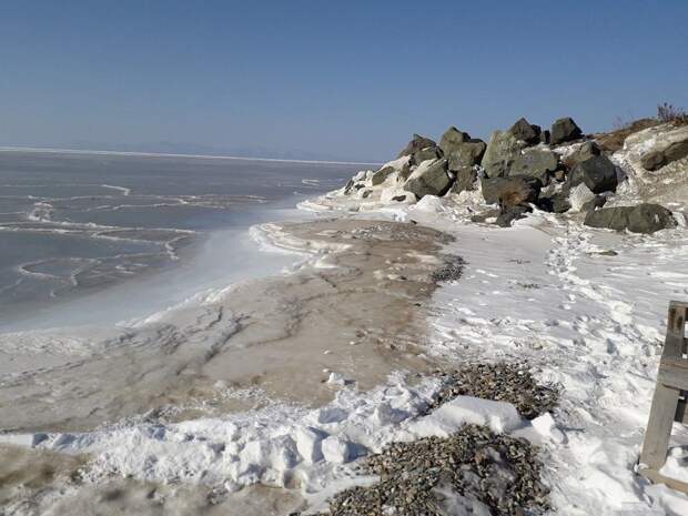 Погода во Владивостоке: холодно и бесснежно — без изменений