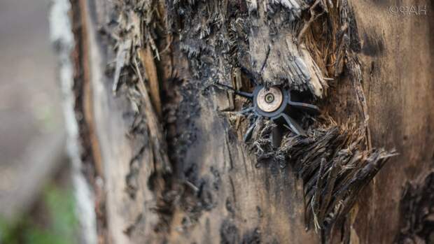 Донбасс: пять населенных пунктов ДНР попали под обстрелы ВСУ