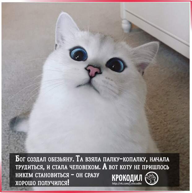 Позитивные картинки с надписями со смыслом от журнала Крокодил Позитивные картинки с надписями со смыслом от журнала Крокодил