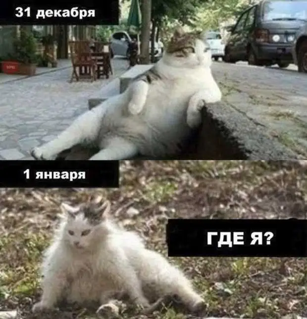 Обыскать всю квартиру в поисках ключей, при этом держа их в руках. Вот со счастьем постоянно такая же херня Обыскать всю квартиру в поисках ключей, при этом держа их в руках. Вот со счастьем постоянно такая же херня мужик, Дорогой, троллейбус, когда, украл, коров, вставить, Здесь, бабуля, девушка, знаете, улицамВ, салоне, одиноко, сидит, узнал, молодой, остановке, входит, окинув