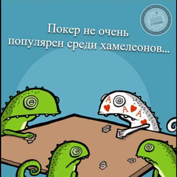 Покер не очень популярен среди хамелеонов…