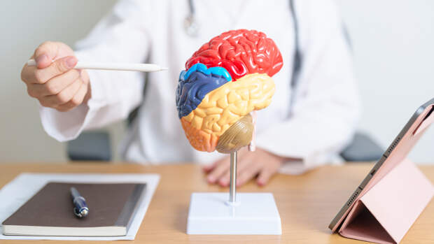 У витамина D нашли полезное свойство для мозга