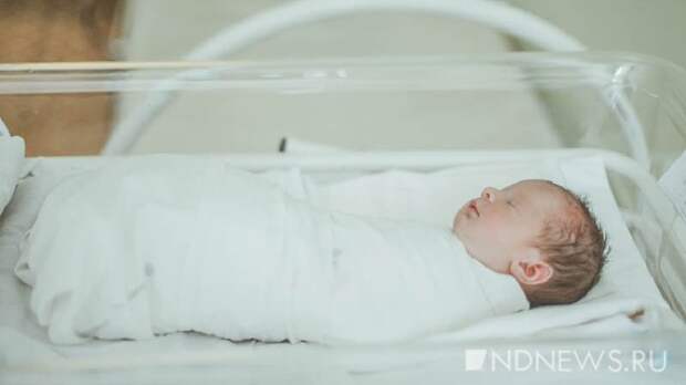В новогодние каникулы на Урале родилось 868 детей