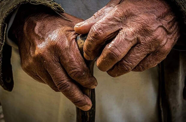 Долгожители - против старения: что показывает геномное исследование в Бразилии