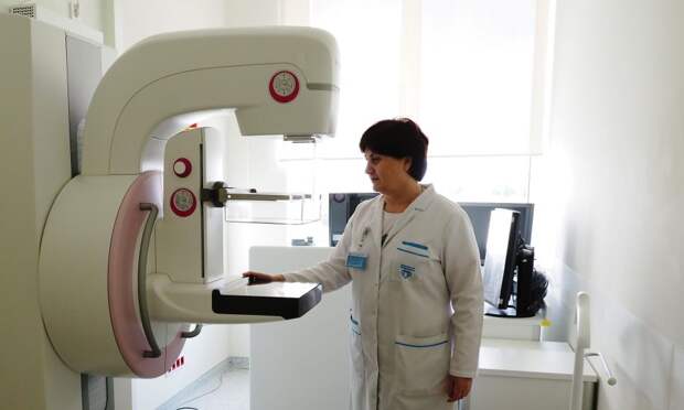 Фото: Ольга Чумаченко