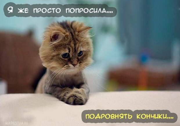 Самая веселая подборка прикольных картинок Самая веселая подборка прикольных картинок