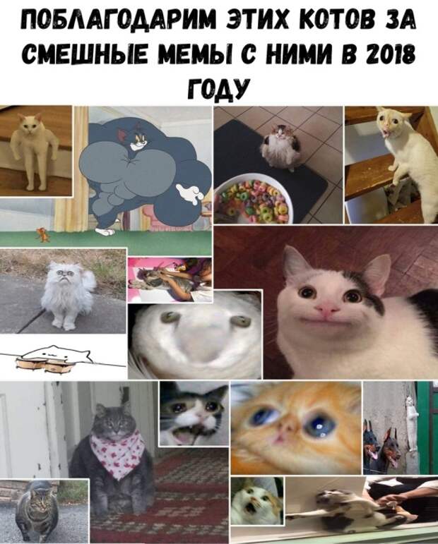 Подборка картинок (21 фото)