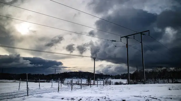 В Швеции из-за урагана около 40 тысяч домов остались без электричества