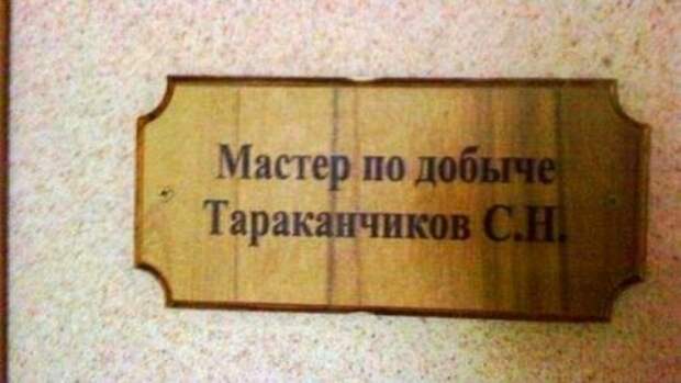 Смешные надписи, объявления и вывески (24 фото)