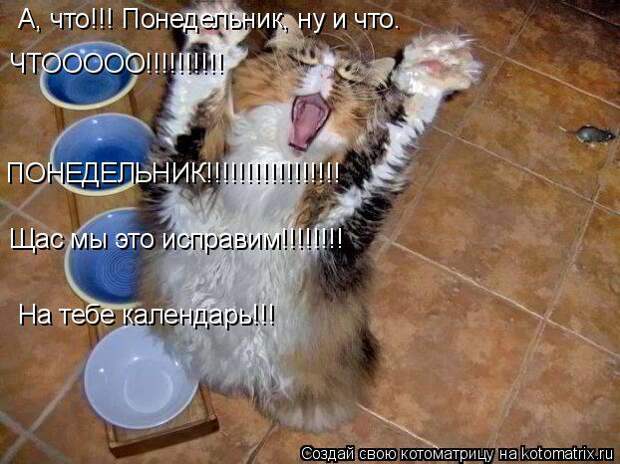 Котоматрица: А, что!!! Понедельник, ну и что. ЧТООООО!!!!!!!!!! ПОНЕДЕЛЬНИК!!!!!!!!!!!!!!!!! Щас мы это исправим!!!!!!!! На тебе календарь!!!