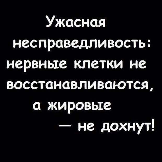 41.jpg 41.jpg